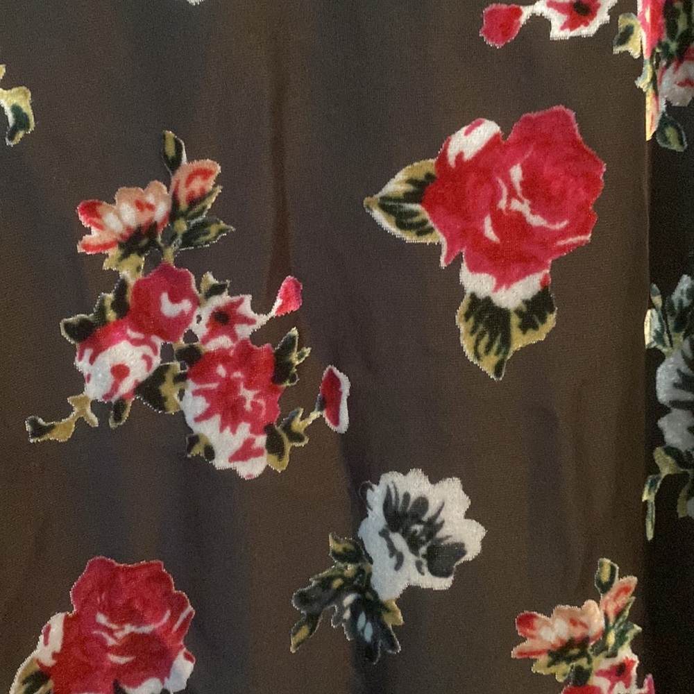 Never been worn. Anna Sui for ModCloth dress. Empire waist. Full length. - Picture 3 of 4